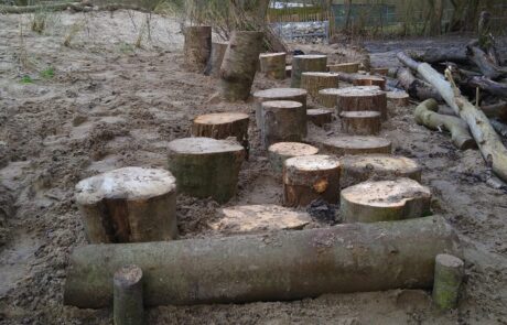 Natuur Texel Tuin hovenier permacultuur tuinontwerp tuincoach tuinaanleg Tatenhove beplanting